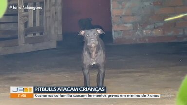 Crianças são atacada por cães da raça pitbull, em Senador Canedo - O cães pertenciam a própria família das crianças. Uma delas, de 7 anos, ficou gravemente ferida.