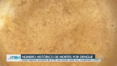 Goiás registra aumento de 613% nas mortes por dengue neste ano, comparado a 2023 - O número registrado de mortes é histórico para o estado.