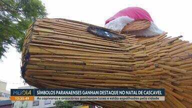 Símbolos paranaenses ganham destaque no Natal de Cascavel - As capivaras e araucárias ganharam luzes e estão espalhadas pela cidade