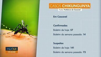 Cascavel tem 57 casos de Chikungunya confirmados - Na semana passada a cidade tinha 14 casos confirmados