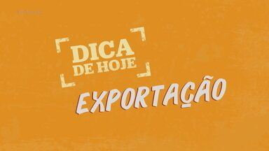 Exportação: entenda como pequenas empresas podem expandir internacionalmente - O PEGN apresenta dicas e informações sobre como pequenas e microempresas brasileiras podem começar a exportar seus produtos.