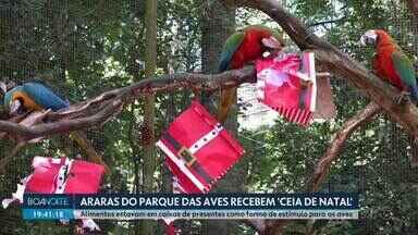 Araras do Parque das Aves recebem "Ceia de Natal" - Alimentos estavam em caixas de presentes como forma de estímulo para as aves