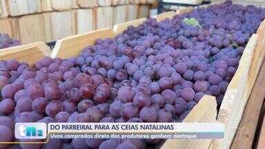 Consumidores podem comprar uvas direto dos produtores em Jundiaí - Consumidores podem comprar uvas direto dos produtores em Jundiaí (SP).