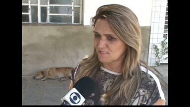 Animais abandonados no sertão da Paraíba - Na cidade de Patos é comum encontrar cães e outros bichos abandonados nas ruas.