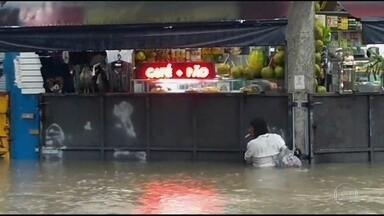 Fantástico mostra como o Brasil e o mundo estão se preparando para nova realidade do clima - A chuva que caiu essa semana no Rio de Janeiro foi a mais forte em 22 anos na cidade. Mas outras tempestades também atingiram várias regiões brasileiras do início do ano pra cá.