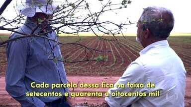 Fantástico mostra como um ex-mecânico se tornou um dos maiores latifundiários do Brasil - Sem nunca ter plantado nada, a Justiça deu a José Valter Dias, o Borracheiro, a posse de terras que chegam a 366 mil hectares. A área é avaliada em mais de R$ 1 bilhão.