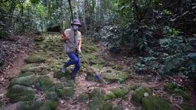 Guardião cuida do caminho usado para transportar o ouro de Minas Gerais até o porto de Paraty - Seu Américo cuida do local há 18 anos. Pedaço de calçamento de pedra feito no século XIX só foi revelado em 2003 pelos pesquisadores do Projeto na Trilha da História.