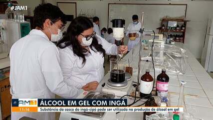 Substância da casca do ingá-cipó pode ser utilizada na produção de álcool em gel