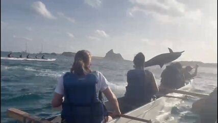 Golfinho faz acrobacia em Noronha e derruba turista que estava em canoa