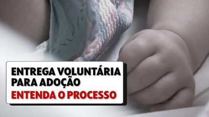 Entrega voluntária para adoção: entenda o processo