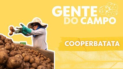 Gente do Campo: conheça a cooperativa que consolidou a 'terra da batata' em São Paulo