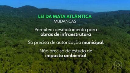 Câmara aprova MP do governo Bolsonaro que enfraquece a proteção da Mata Atlântica