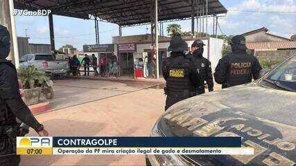 Operação da Polícia Federal mira criação ilegal de gado e desmatamento em Ituna-Itatá