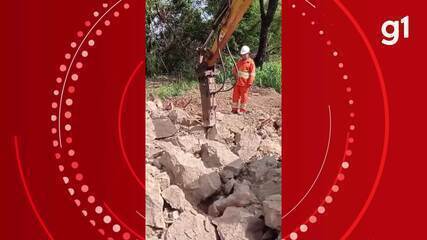 Fósseis de até 80 milhões de anos são encontrados na 'Terra dos Dinossauros' em MG