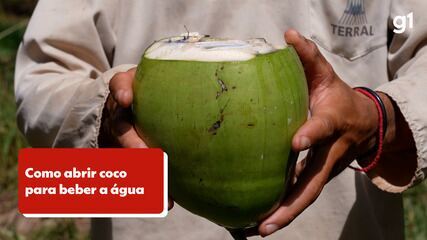 Como abrir coco para beber a água