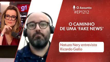 O caminho de uma ‘fake news’