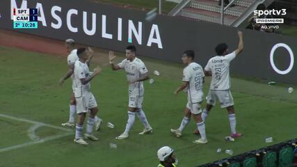 Aos 11 minutos do 2º tempo - Após gol de Paulinho, torcida do Atlético-MG faz chover na partida contra o Sport