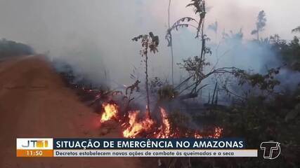 Decretos estabelecem novas ações de combate às queimadas e seca no Amazonas