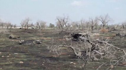 Eventos climáticos extremos dificultam produção agrícola