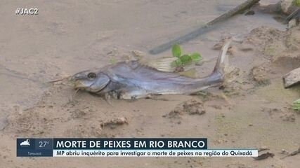 MP abriu inquérito para investigar a morte de peixes na região do Quixadá