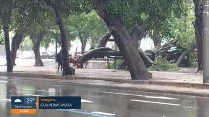 Chuva no Rio