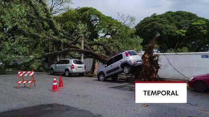 Árvore cai e deixa carro suspenso durante temporal em Mogi das Cruzes