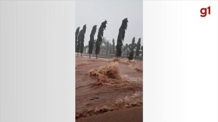 Chuva provoca estragos e deixa carros submersos em Olímpia