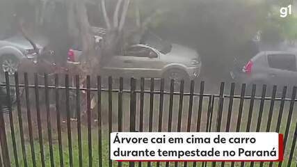 Árvore cai em cima de carro durante tempestade no Paraná