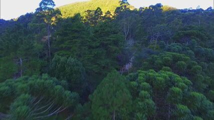 Globo Repórter – Serra da Mantiqueira, 17/06/2016