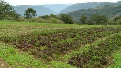 Expedição Campo: agroecologia