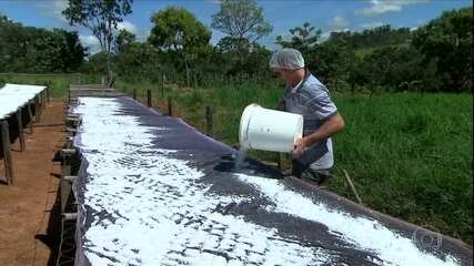 Cooperativismo transforma comunidade rural em Goiás