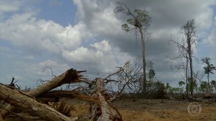 Desmatamento da Amazônia aumentou 15% no acumulado em 12 meses, diz instituto