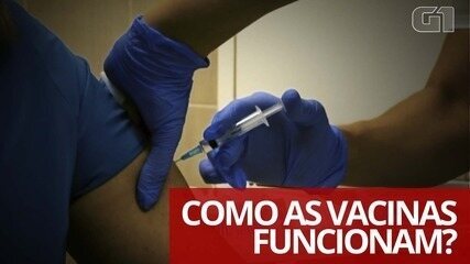 Como as vacinas funcionam?