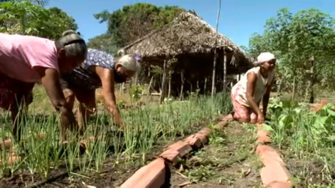 Rendimento do trabalhador rural pode variar dependendo da região do país, aponta levantamento