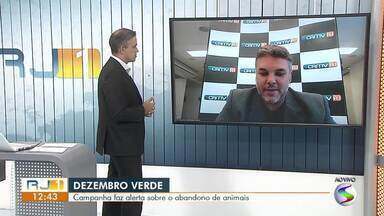 Veterinário fala sobre o 'Dezembro Verde' - Campanha faz alerta sobre o abandono de animais.