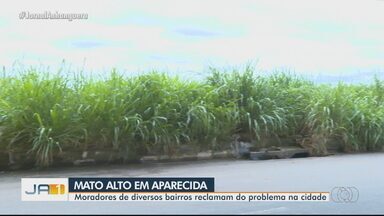 Moradores reclamam de mato alto em bairros de Aparecida de Goiânia - Pessoas reclamam que situação tem provocado o aumento de mosquito da dengue.