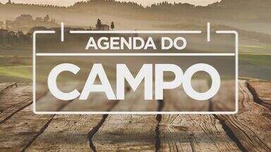 Agenda do campo (13 a 20 de agosto) - Na programação rural da semana, eventos em Santo Antônia da Platina, Arapongas, São Tomé, Corumbataí do Sul, Maringá, Turvo e Piraquara.