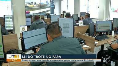 Lei do Trote: quem praticar esse tipo de infração pode pagar multa de até R$ 10 mil - Saiba mais sobre a lei.