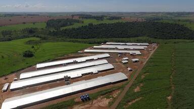 Bloco 02 Caminhos do Campo (31 03 24) - Frigoríficos do Paraná ampliam mercado externo com novas habilitações para a China. Toledo, Pérola, Londrina, Mandirituba, Apucarana, Rio Bonito do Iguaçu e Ortigueira recebem eventos nesta semana, confira na agenda.