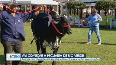 Pecuária de Rio Verde começa na quinta-feira - Animais da raça Nelore com alto potencial genético estão entre as atrações.