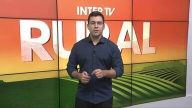 Inter TV Rural - Edição de 07/07/2024 - Inter TV Rural - Edição de 07/07/2024