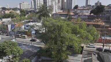 Antena Paulista - Edição de 01/09/2024 - Há poucos dias de celebrar mais um aniversário da Independência do Brasil, o Antena Paulista conta algumas histórias que também marcaram o dia 7 de Setembro de 1822. O programa traz curiosidades sobre alguns patrimônios da capital a mostra a cidade que inspirou as obras de Cândido Portinari.