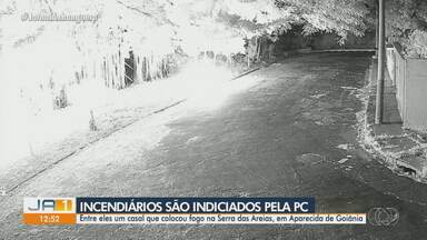 Polícia Civil indicia suspeitos de três grandes queimadas em Goiás - Entre eles um casal que colocou fogo na Serra das Areias, em Aparecida de Goiânia.