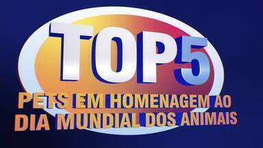 Programa de 06/10/2024 - Apresentado por Luciano Huck, o programa leva aos brasileiros entretenimento, diversão e emoção em quadros amados pelo público, além de contar boas histórias em matérias especiais pelo país.