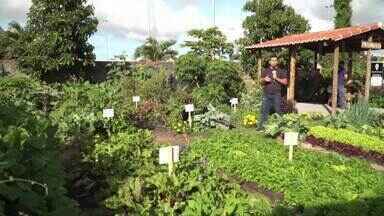 Inter TV Rural - Edição de domingo - 13/10/2024 - Inter TV Rural - Edição de domingo - 13/10/2024