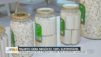 Palmito gera negócio 100% sustentável e chama atenção de investidores - Empresa em Aparecida de Goiânia tem seis fábricas e visa aumento na produção do negócio.