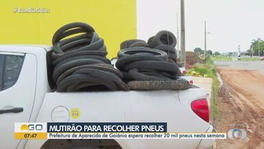 Mutirão recolhe pneus usados em Aparecida de Goiânia - Descarte irregular de pneus na cidade oferece risco, como doenças.