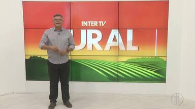 Íntegra do InterTV Rural deste domingo, 10 de novembro de 2024 - Telejornal traz as principais notícias da região.