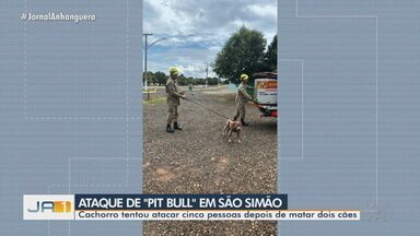 Pitbull tenta atacar cinco pessoas em frente à um lago em São Simão - Cachorro tentou atacar cinco pessoas depois de matar dois cães