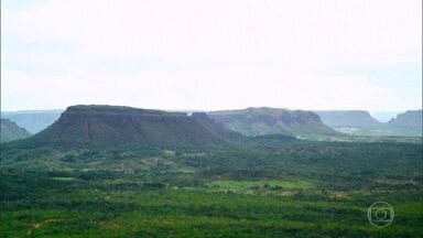 Chapéu, dedo e até leão: formas surpreendem na Chapada das Mesas - Pequenas montanhas lembram um conjunto de mesas. Chapada tem o maior buritizal do cerrado.